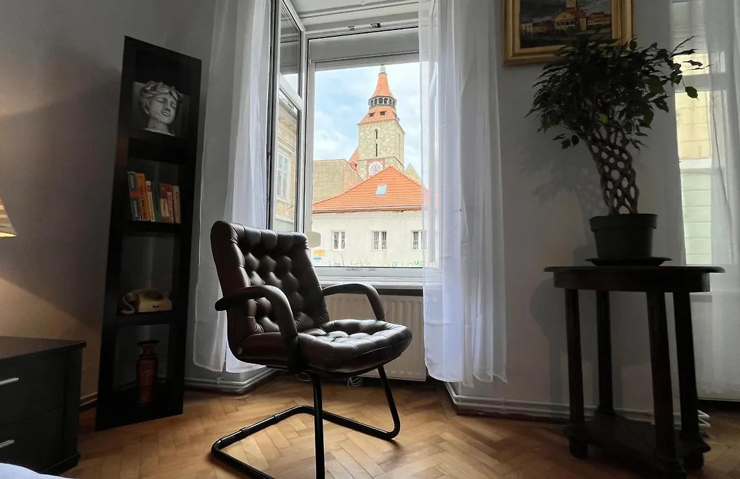 Ultracentral Vintage Apartment Black Church View Steps Away From Piata Sfatului-1